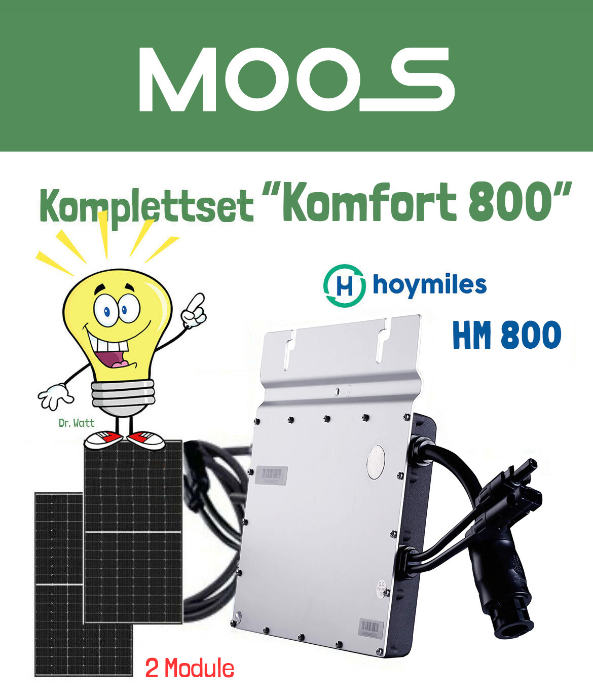 Hoymiles HM-800  800Watt Mikrowechselrichter